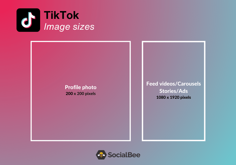 socialbee social media sizes tiktok 2023