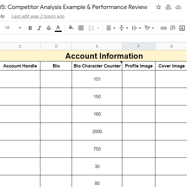 social media account audit