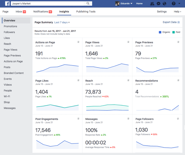 Facebook Insights Screenshot