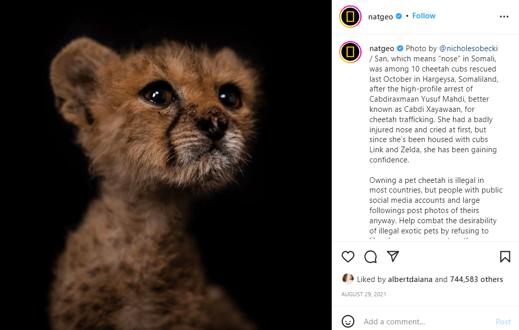 Natgeo instagram post