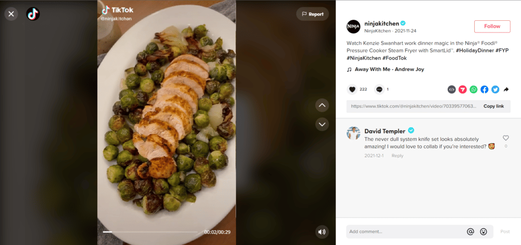 Ninja Kitchen Thanksgiving Social Media Post