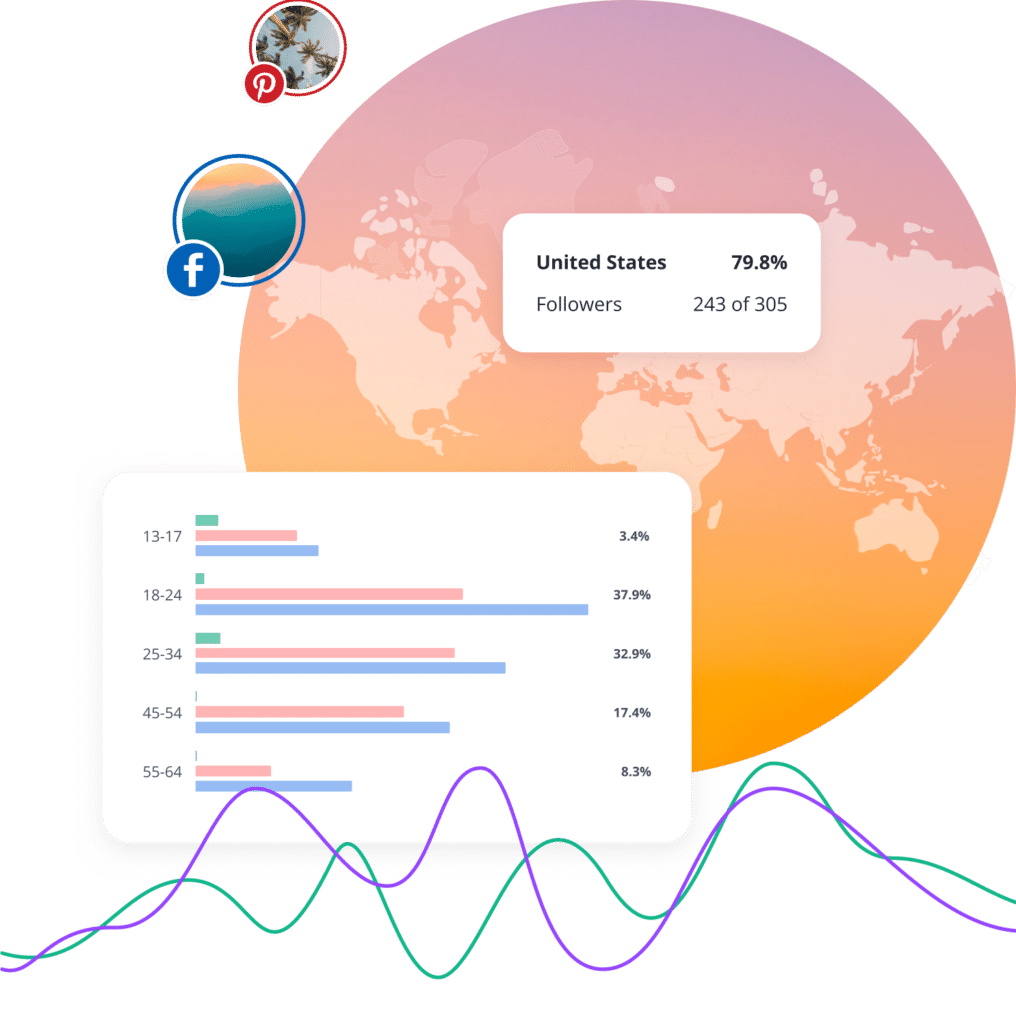 SocialBee audience demographics analytics