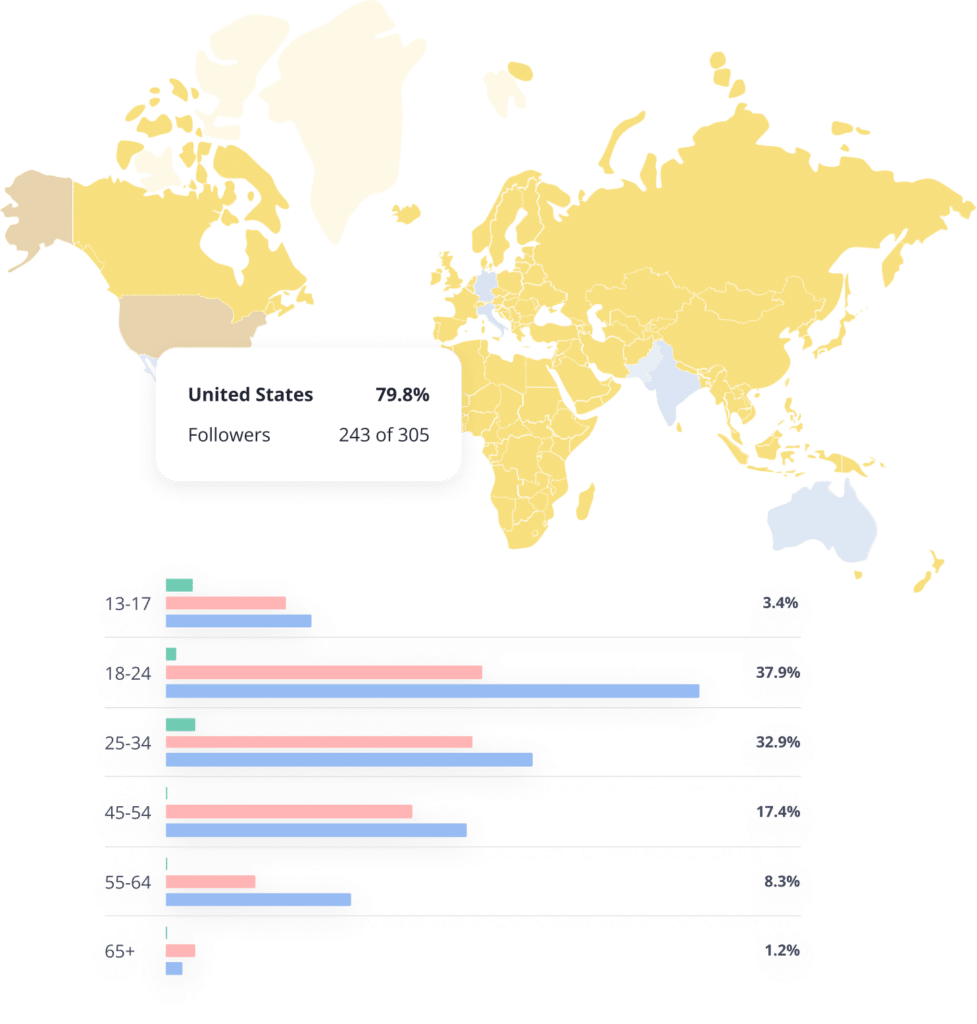 SocialBee audience demographics and insights