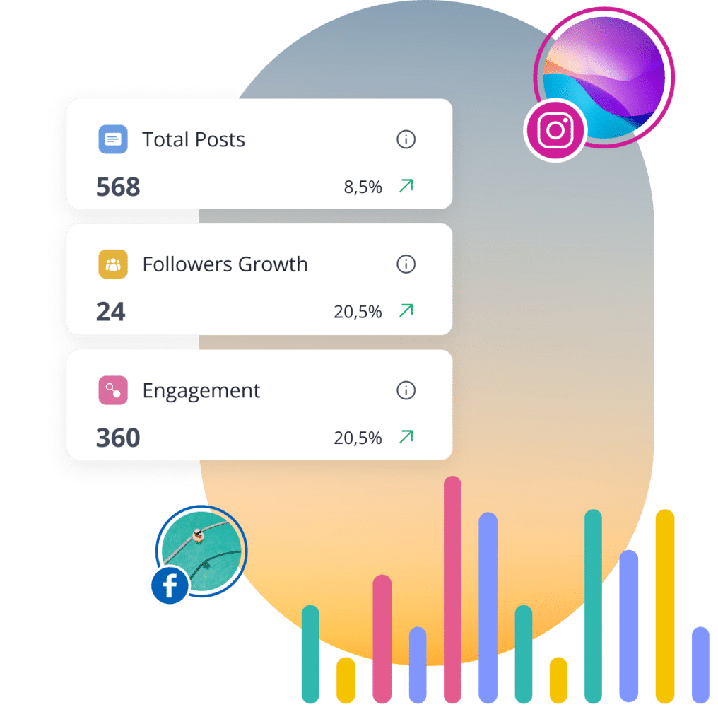 SocialBee followers growth analytics