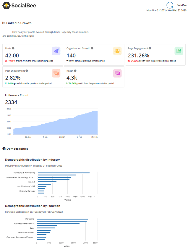 SocialBee social media PDF report example