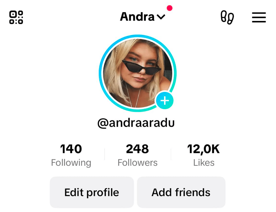 tiktok profile story circle