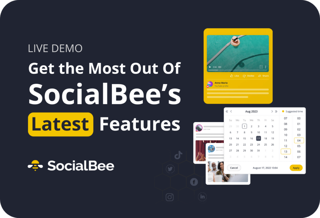 SocialBee demo cover