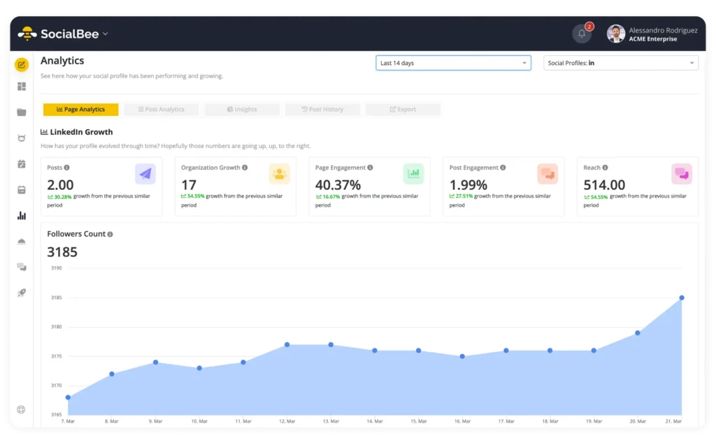 SocialBee page analytics main dashboard