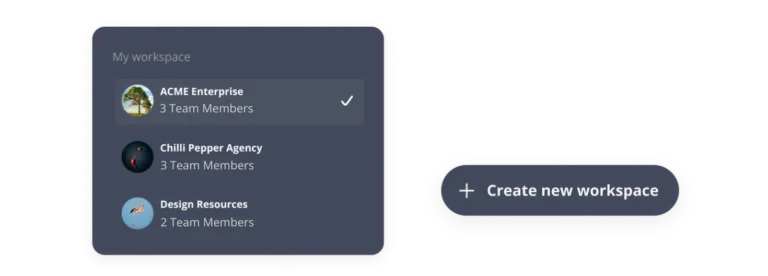 SocialBee workspaces and number of workspace members